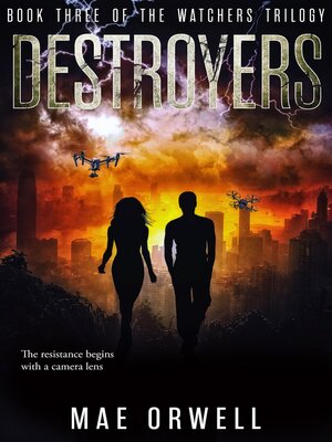 cover image of Destroyers